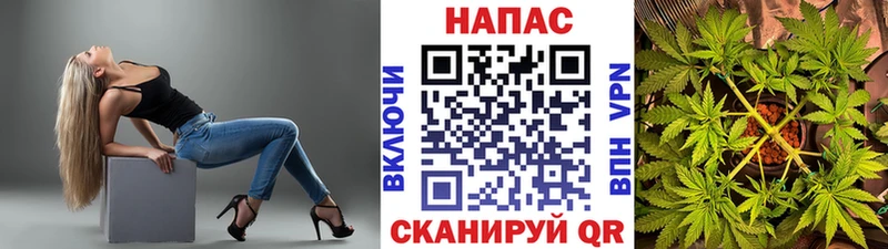 Наркошоп Фатеж МДМА  ГАШ  Канабис  Alpha PVP 
