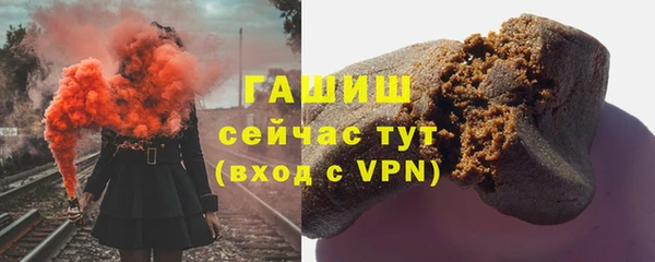 мдпв Ельня