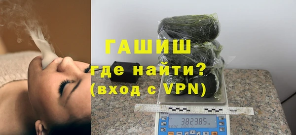 мдпв Ельня