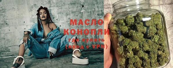 мдпв Елабуга