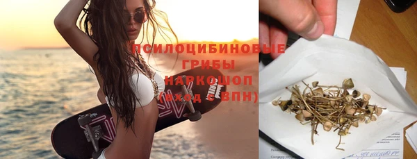 мдпв Елабуга