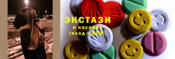 мдпв Ельня