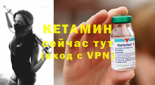 мдпв Ельня