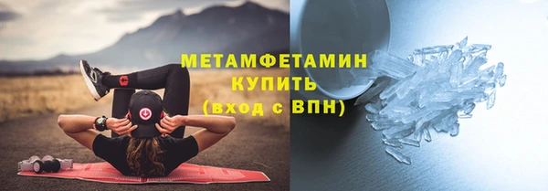 мдпв Ельня