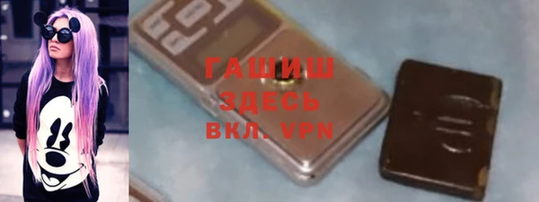 мдпв Елабуга
