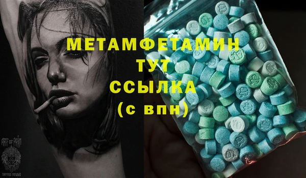 мдпв Ельня