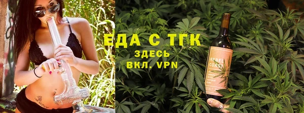 мдпв Ельня
