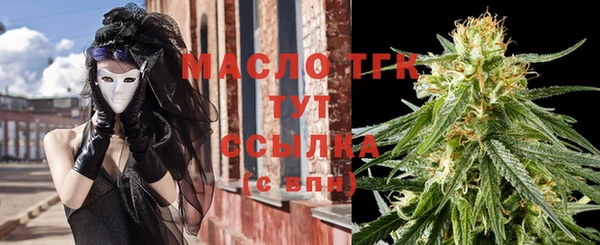 мдпв Ельня