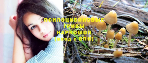 мдпв Елабуга