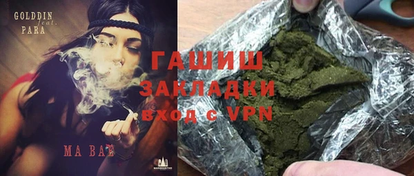 мдпв Елабуга