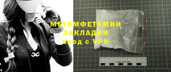 мдпв Ельня