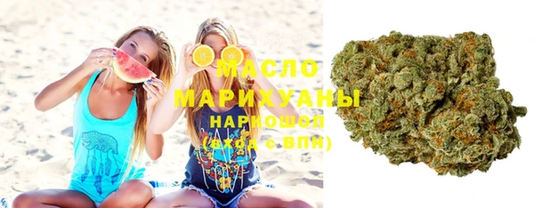 мдпв Елабуга