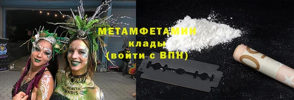 мдпв Ельня