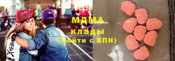 мдпв Ельня
