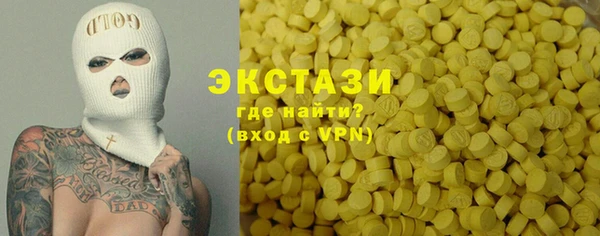 мдпв Ельня