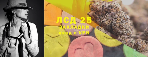 мдпв Елабуга