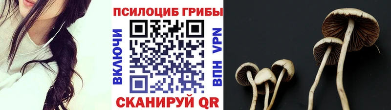 Псилоцибиновые грибы прущие грибы  Фатеж 